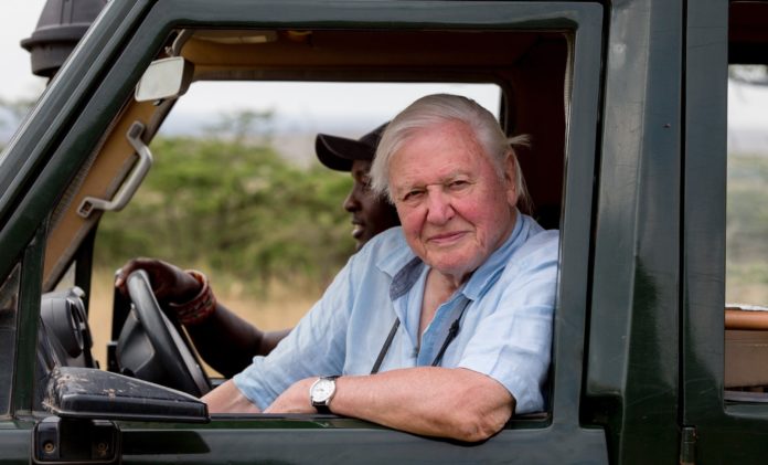 Sir David Attenborough (image - Netflix)