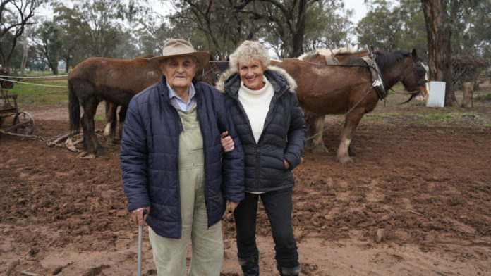 Heather with national treasure Wilf Norris and his beloved Australian Draught horses. (image - 10)