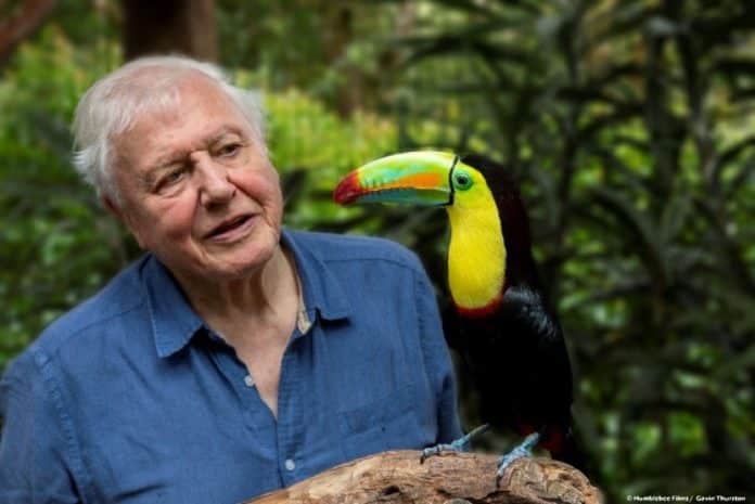 David Attenborough’s Life in Colour