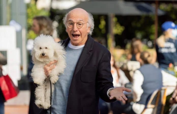 Larry David in Curb Your Enthusiasm (image - HBO)
