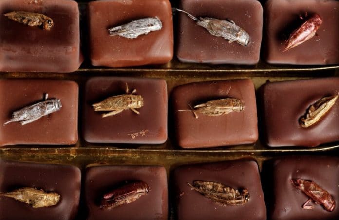 The Wonderful World Of Chocolate (image - SBS)