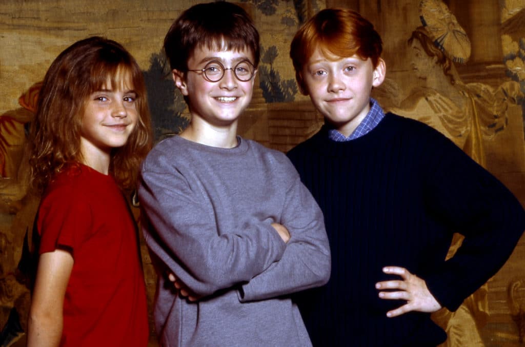 The cast of Harry Potter (image - Binge)