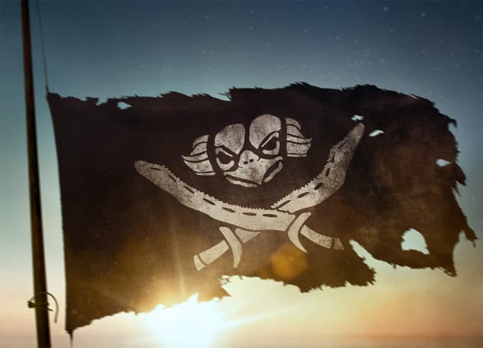 Sea Devil Pirate flag (image - provided by the ABC)