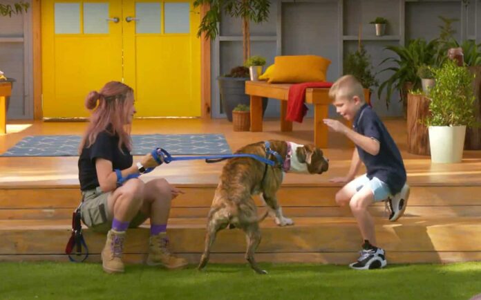 The Dog House Australia (image - Channel 10)