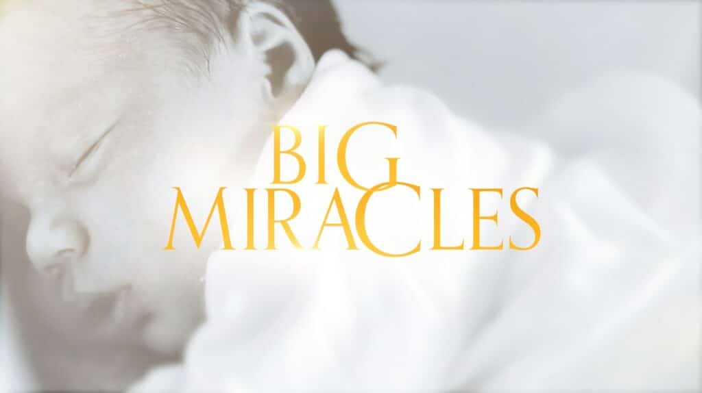 Big Miracles (image- Channel 9)