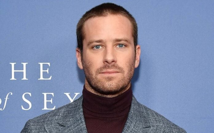 Armie Hammer (image - The Wrap)