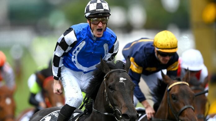 Gold Trip won the 2022 MELBOURNE CUP (image - WWOS)