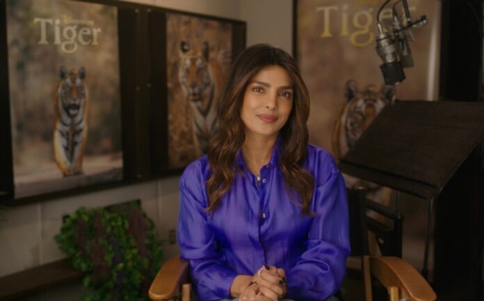 Priyanka Chopra Jonas will narrate Disneynature’s “Tiger” (image - Disney)